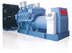 Ecoの友好的なディーゼル機関の発電機250 - 3000 KVA MTUエンジンの長い役立つ生命